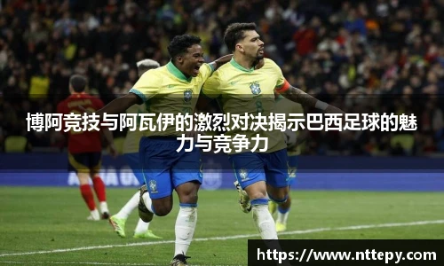 三亿体育集团