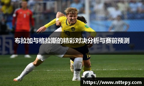 三亿体育集团