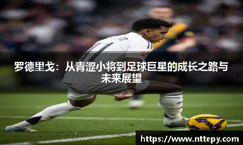三亿体育集团